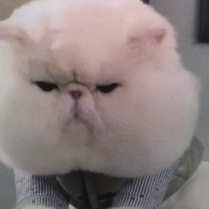 Meet your Posher, Katelynn